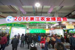 看展覽、嘗美食、囤年貨 2016浙江農博會